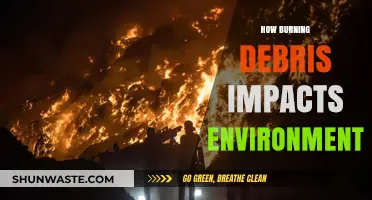 Burning Debris: Unseen Environmental Hazards and Long-Term Ecological Consequences