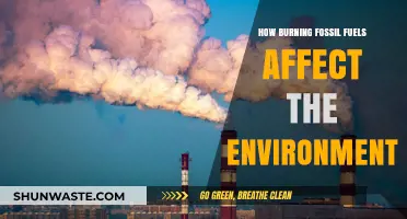 Fossil Fuel Combustion: Environmental Impacts and Urgent Need for Change