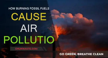 Unveiling the Dark Side: Fossil Fuels' Impact on Air Quality