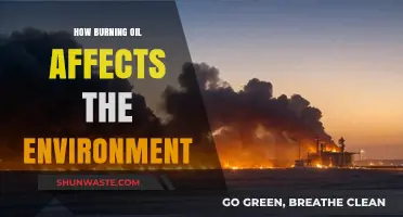 Burning Oil's Environmental Impact: Pollution, Climate Change, and Ecosystem Destruction