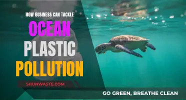 Businesses' Role in Fighting Ocean Plastic Pollution