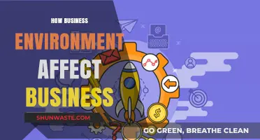 How External Factors Shape Business Success and Survival Strategies