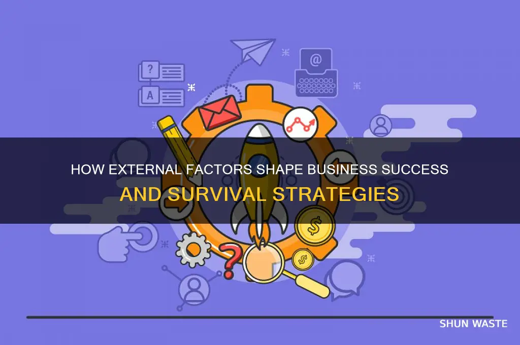 how business environment affect business