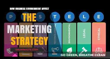 How Business Environment Shapes Effective Marketing Strategy Decisions