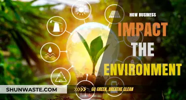 Corporate Footprints: How Businesses Shape Our Environment and Future
