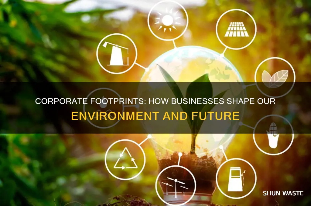 how business impact the environment