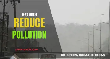 Business Strategies for Pollution Reduction and Sustainable Growth