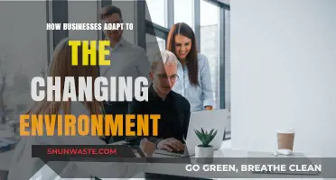Navigating Change: Strategies for Businesses in a Dynamic Environment