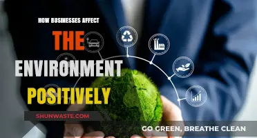 Sustainable Business Practices: How Companies Drive Positive Environmental Change