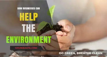 Sustainable Strategies: How Businesses Can Drive Environmental Change