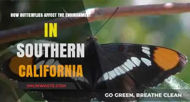 Butterflies' Vital Role in Southern California's Ecosystem and Environment
