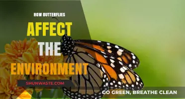 Butterflies' Vital Role in Pollination, Biodiversity, and Ecosystem Health