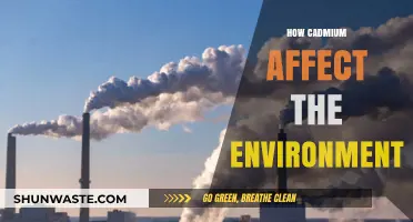Cadmium's Environmental Impact: Pollution, Ecosystem Damage, and Health Risks