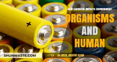 Cadmium's Toxic Legacy: Environmental, Organismic, and Human Health Impacts