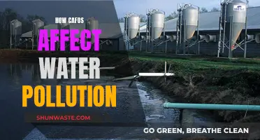 CAFOs' Impact: Water Pollution and Its Devastating Effects