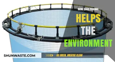 Cage Fishing: A Sustainable Solution for Environmental Conservation