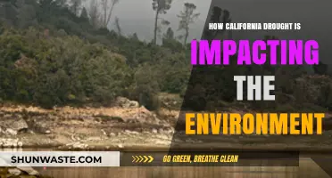 California's Drought Crisis: Environmental Consequences and Ecosystem Disruption
