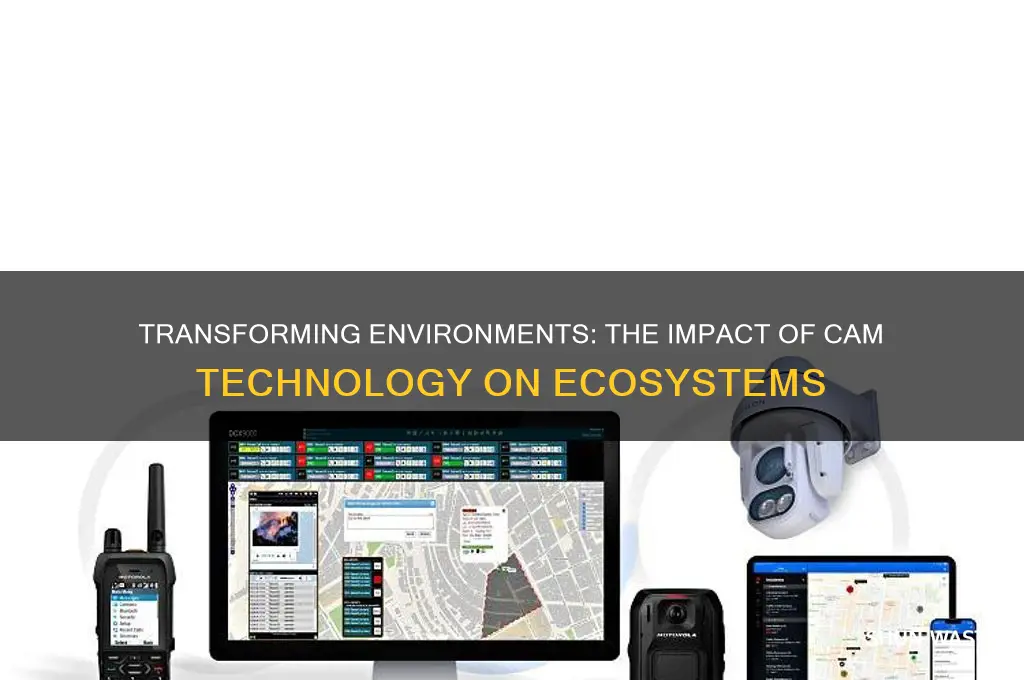 how cam transformation change the environment