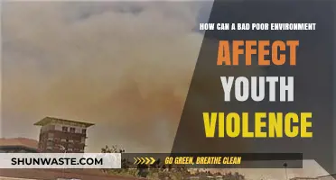 Poor Environments Fuel Youth Violence: Understanding the Impact and Solutions