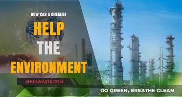 Chemists as Eco-Warriors: Innovative Solutions for a Sustainable Future