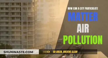 Strategies for Reducing Particulate Matter Pollution in Urban Areas