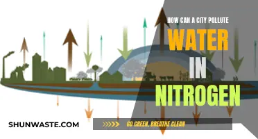 Nitrogen Pollution: Cities' Watery Woes