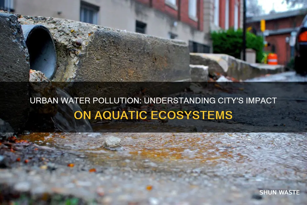 how can a city pollute water