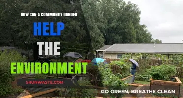 Community Gardens: Nurturing Nature, Reducing Waste, and Greening Urban Spaces