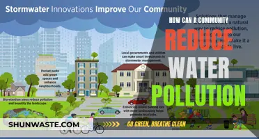 Community Action: Strategies to Combat Water Pollution