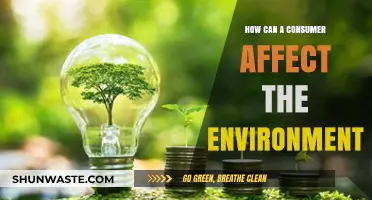 Sustainable Choices: How Consumers Impact the Environment Daily