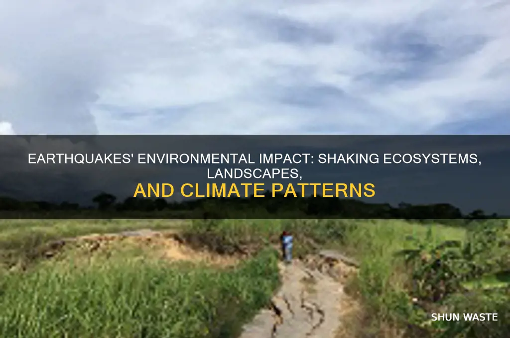 how can a earthquake affect the environment