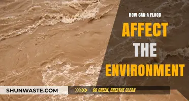 Floods' Devastating Impact: Environmental Consequences and Ecosystem Disruption Explained