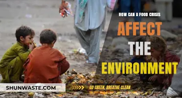 Food Crisis Impact: Environmental Consequences and Sustainable Solutions Explored