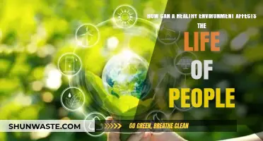 Healthy Environments: Transforming Lives and Enhancing Human Well-being