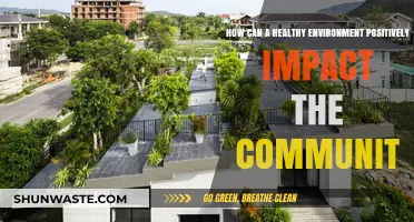 Healthy Environment, Thriving Communities: The Positive Impact of Green Spaces