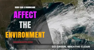 Hurricanes' Environmental Impact: Devastation, Ecosystem Disruption, and Long-Term Effects