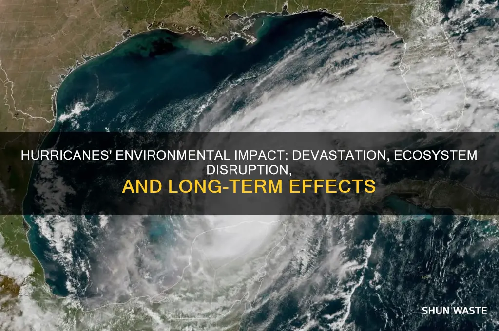 how can a hurricane affect the environment