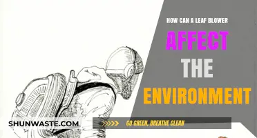 Leaf Blowers' Environmental Impact: Noise, Emissions, and Ecosystem Disruption Explained