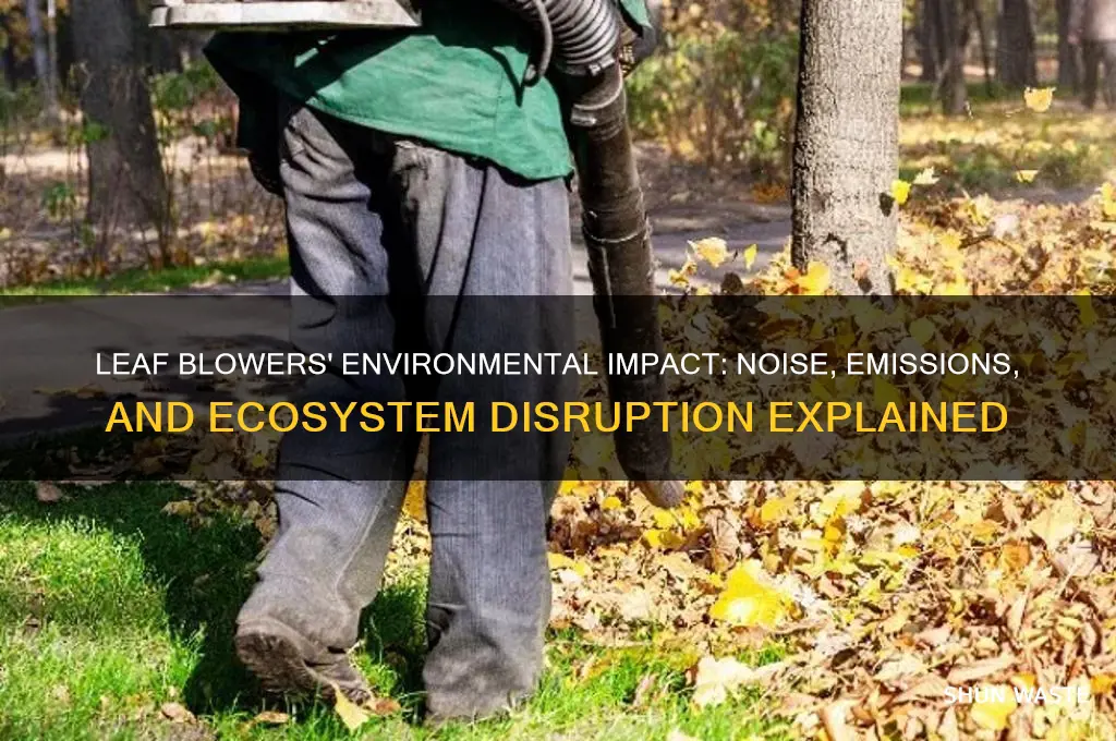 how can a leaf blower affect the environment