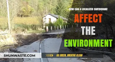 Localized Earthquakes: Environmental Impacts and Ecosystem Disruptions Explained