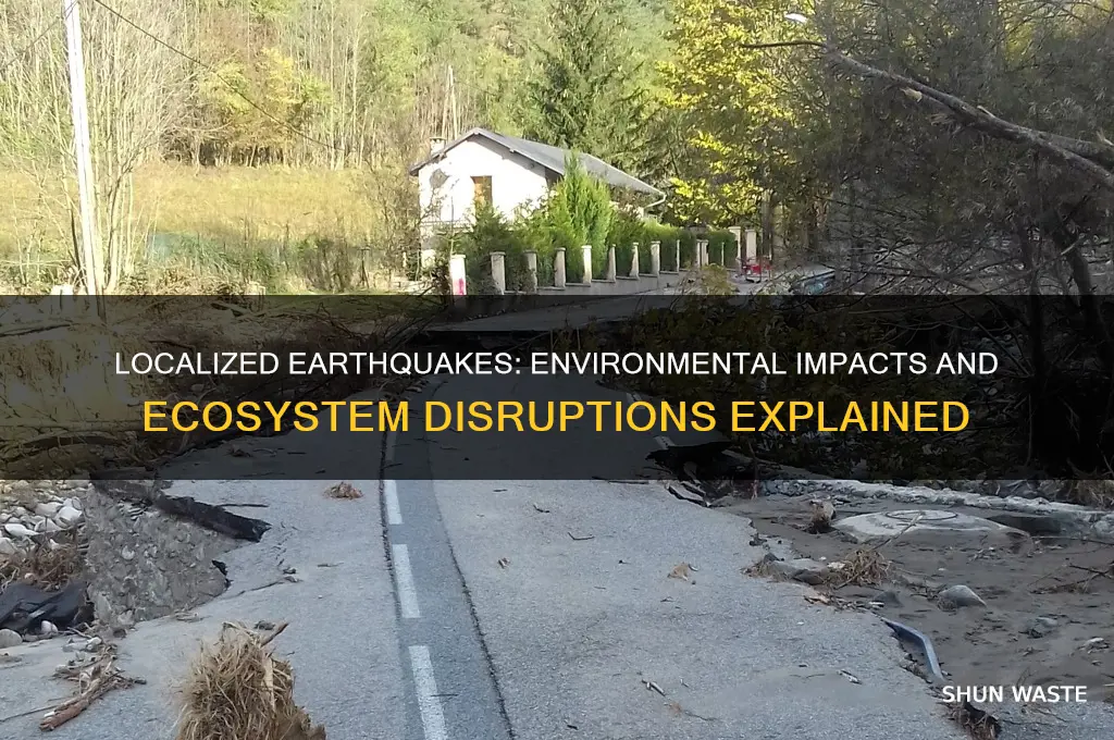 how can a localized earthquake affect the environment