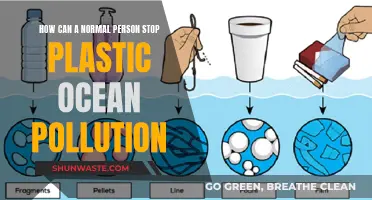 A Normal Hero's Guide to Stopping Ocean Plastic Pollution