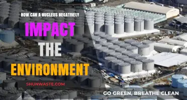 Nuclear Power's Hidden Costs: Environmental Impacts and Long-Term Consequences