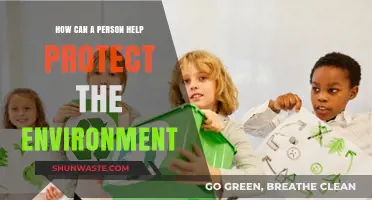 Sustainable Steps: Simple Ways to Protect Our Environment Daily