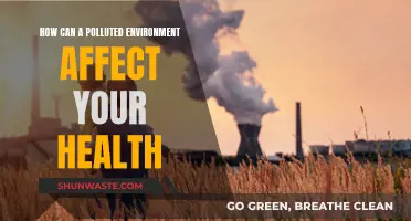 Environmental Pollution: A Hazard to Your Health