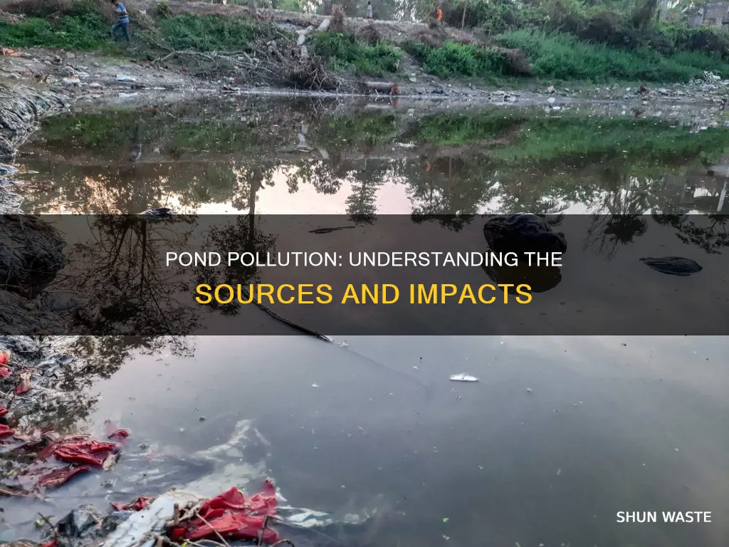 how can a pond be polluted