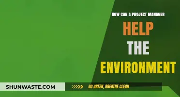 Sustainable Leadership: How Project Managers Drive Eco-Friendly Initiatives