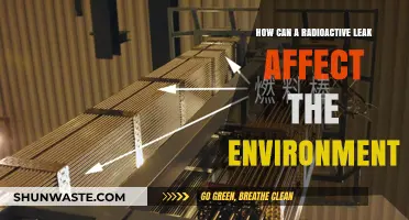 Radioactive Leaks: Environmental Impacts and Long-Term Ecological Consequences