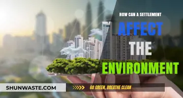 Settlements' Environmental Impact: Understanding the Ecological Consequences of Urbanization