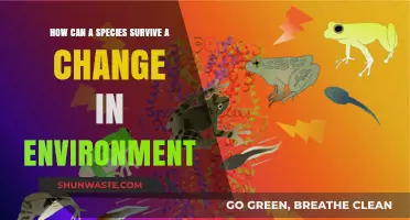 Adapting to Survive: Strategies for Species in Changing Environments